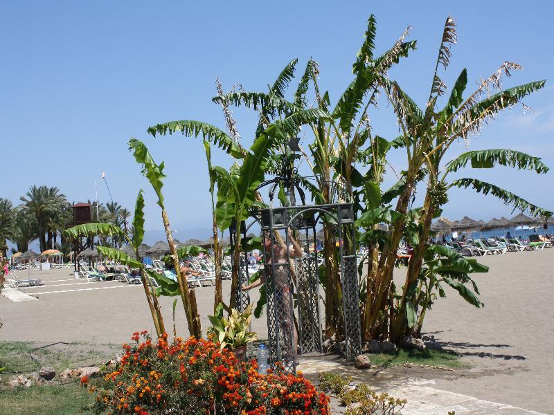 Hotel Ms Tropicana Torremolinos Exterior photo